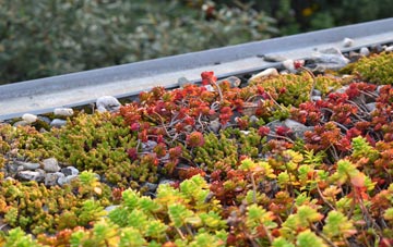 the cost of Phocle Green green roof installation